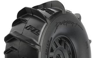 10189-10 | Dumont Paddle Sand/Snow Tires Mounted